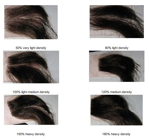 densitychart.jpg