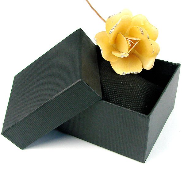watch-box-2.jpg