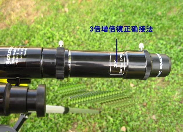 Shell132.jpg