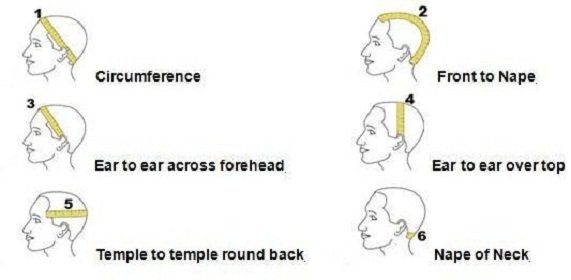 head measurements.jpg