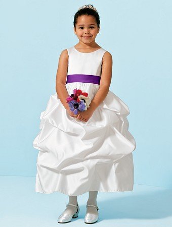 6433-violet.jpg