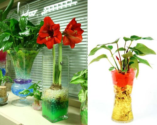 crystal_soil_vase_1.jpg