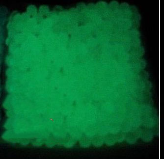 Lighted Beads.jpg