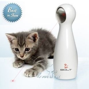 ^^FroliCat[09] -106.jpg