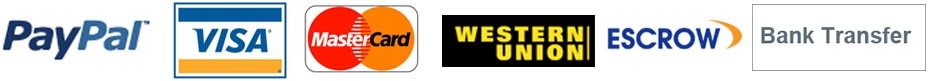 payment LOGO.jpg