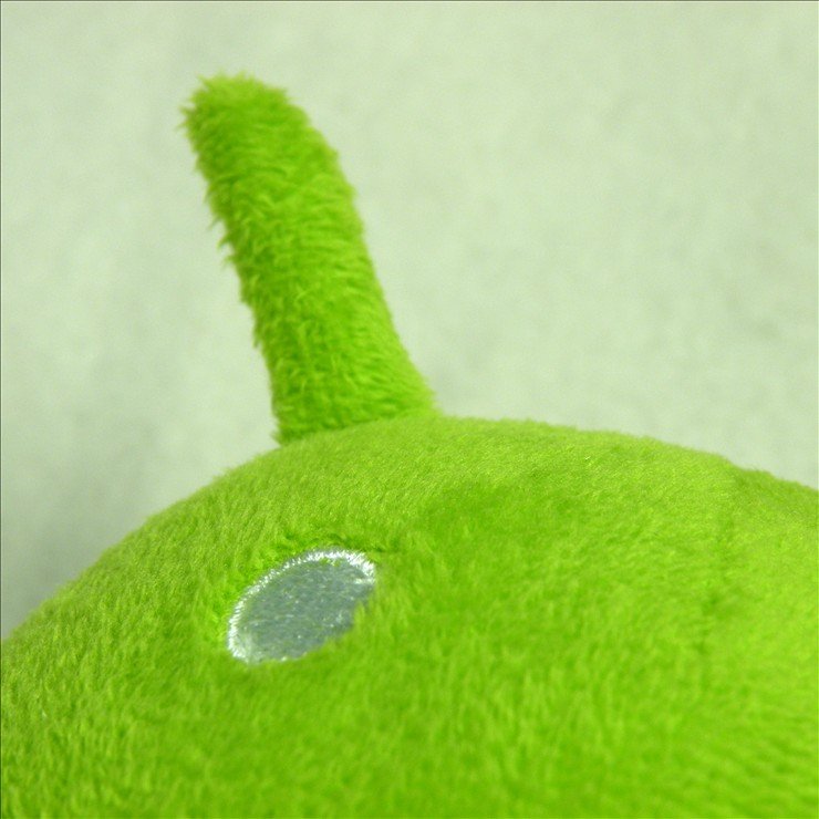 DSCN8359.JPG