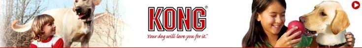 kong.jpg