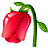 Residual Flower