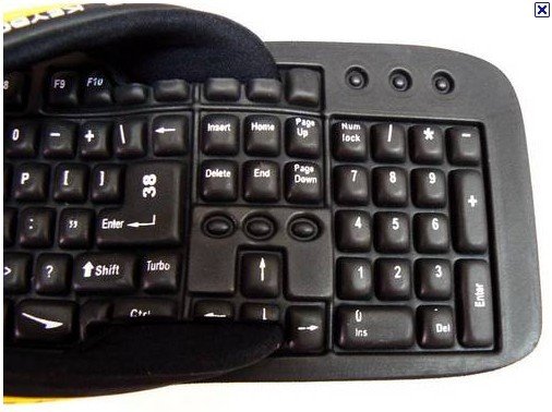 5555.jpg