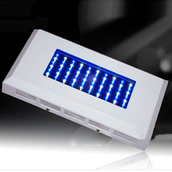 60W-1