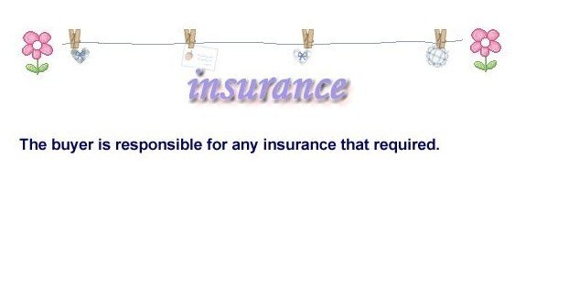 insurance.jpg