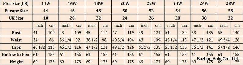standard size2.jpg