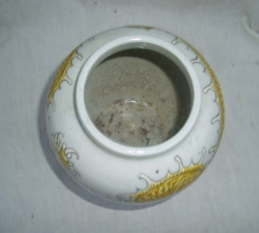 P1010245.jpg