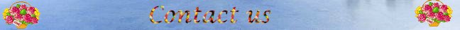 contact us .jpg