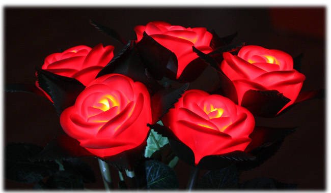 2010121814552373499_01.jpg