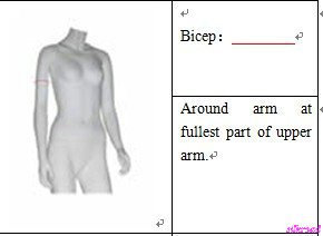 bicep.jpg