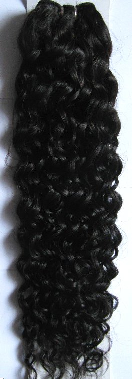 Curly 20inch 1B.jpg