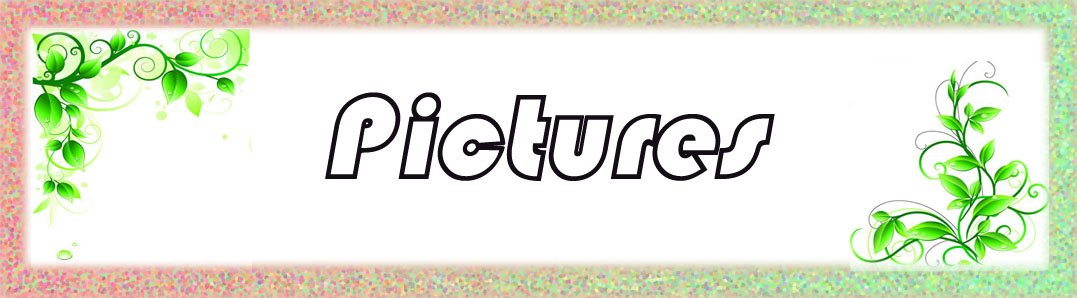 pictures