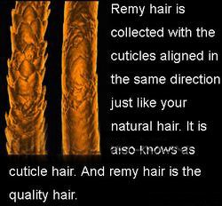 remynail