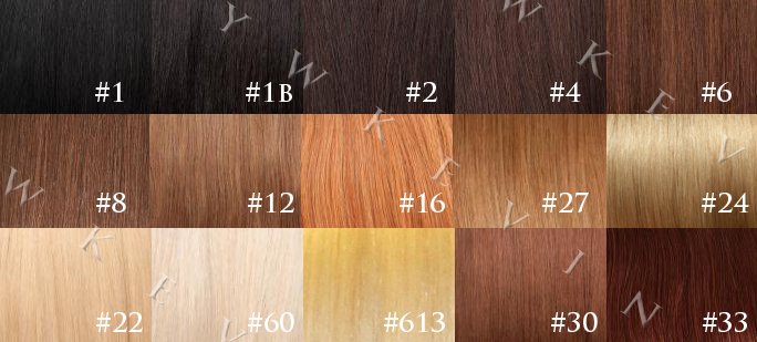 colorchart.jpg