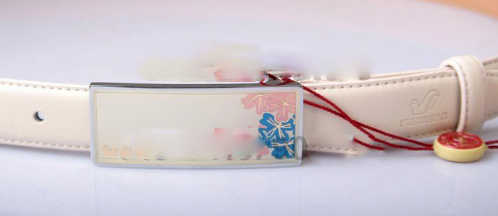 100% genuine leather belt,CHINA TOP BRAND leather belt,4 panel buckles,Women's fashion belt 2.jpg