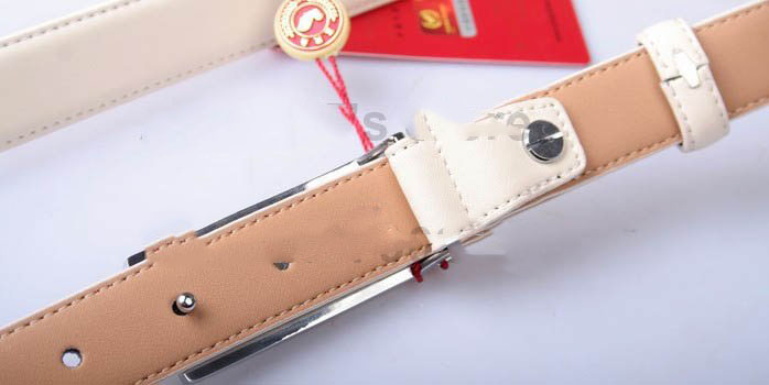 100% genuine leather belt,CHINA TOP BRAND leather belt,4 panel buckles,Women's fashion belt 6.jpg