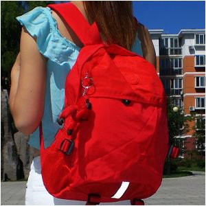 KIPLINGKIPLING 5.jpg