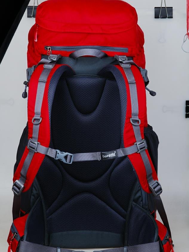 1561-back.JPG
