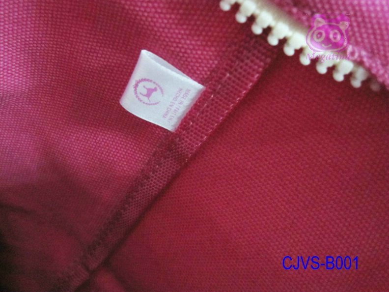 CJVS-B001-8.JPG