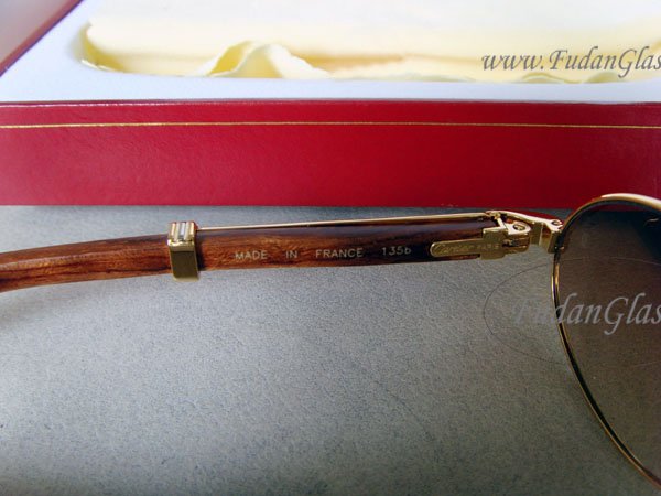 Cartier_546_left_arm.jpg