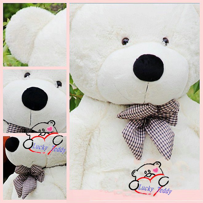 teddy6.jpg
