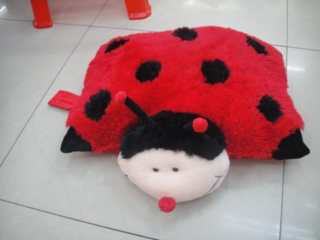 DSC00322.JPG