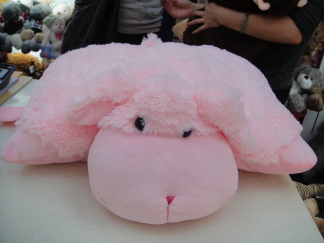DSC00291.JPG