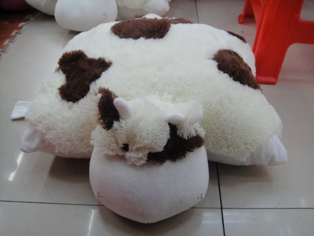 DSC00372.JPG