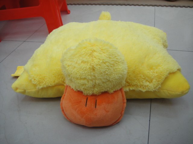 DSC00325.JPG
