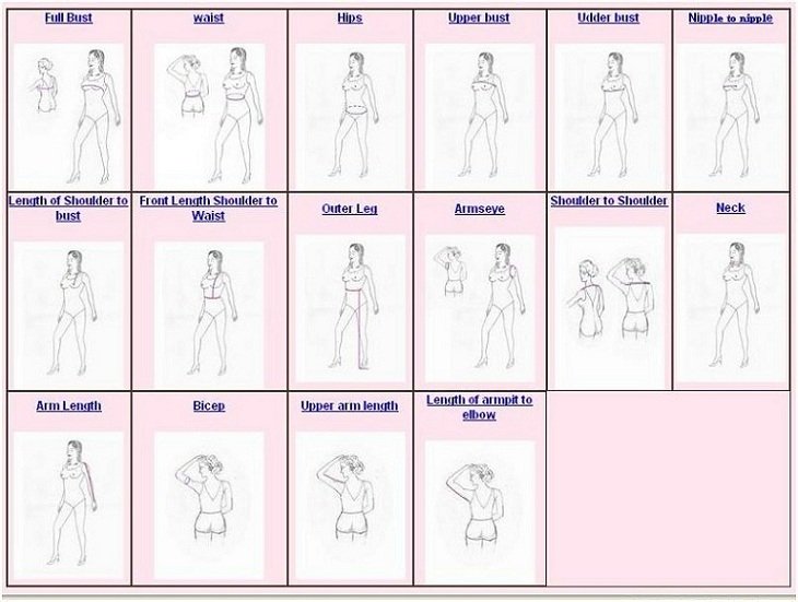 Suzhou Ants Measurement table.jpg