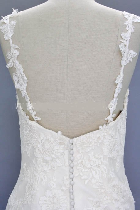 clear back.jpg