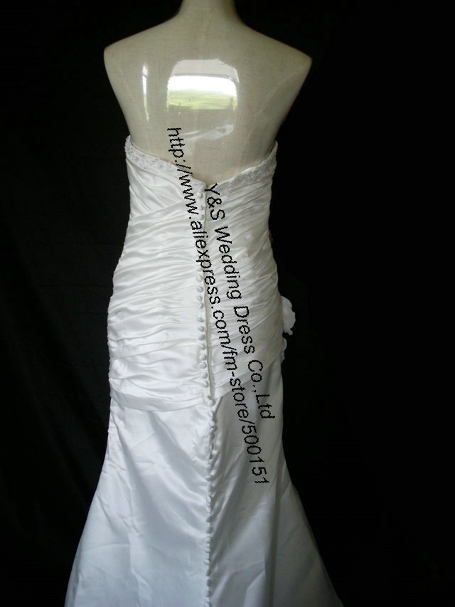 SL379536.jpg