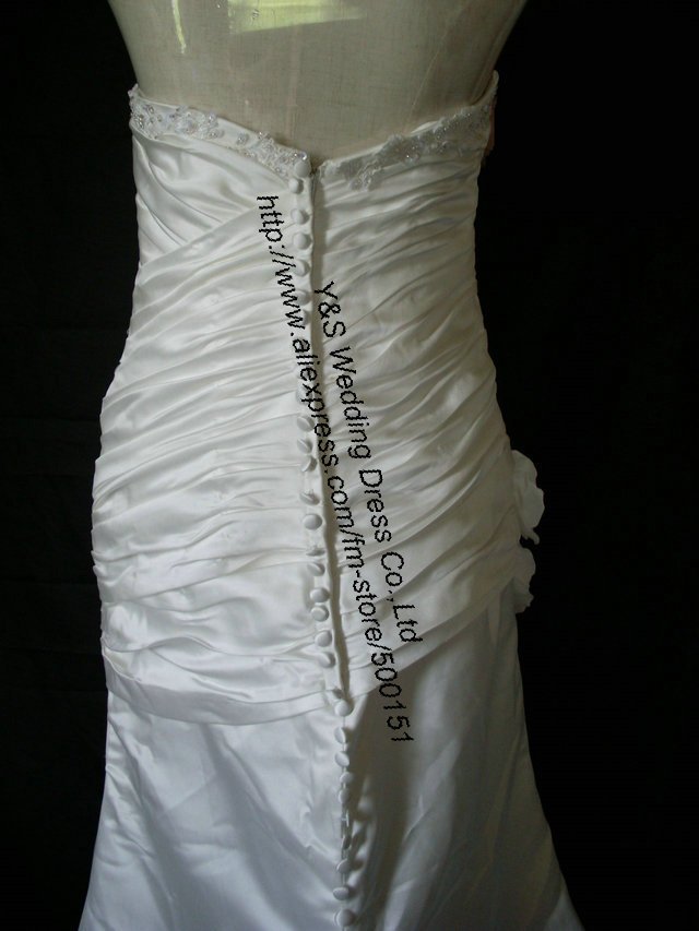 SL379540.jpg