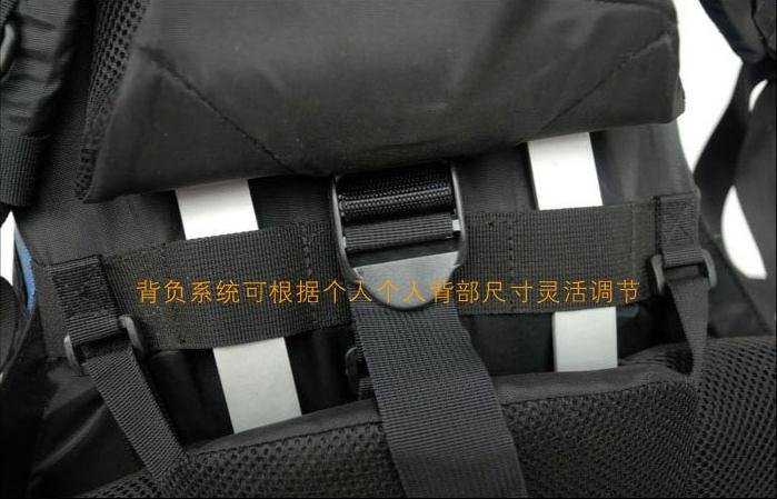 newscreen16713323.jpg