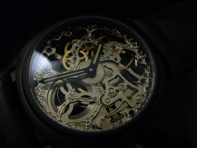 S1050111.JPG
