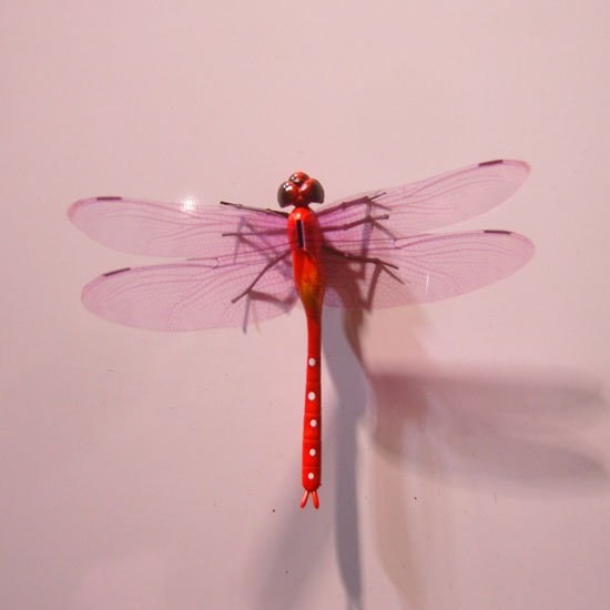SNC13177.JPG