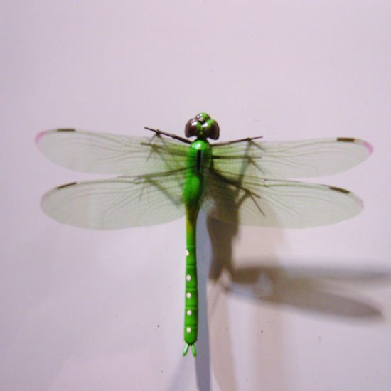 SNC13180.JPG