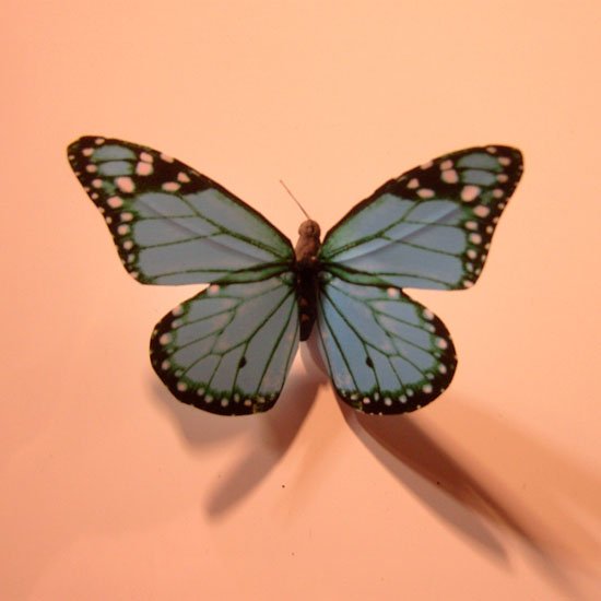 SNC13164.JPG