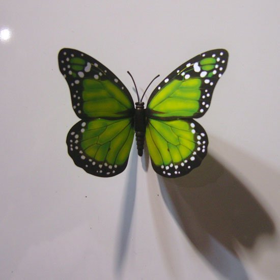 SNC13161.JPG