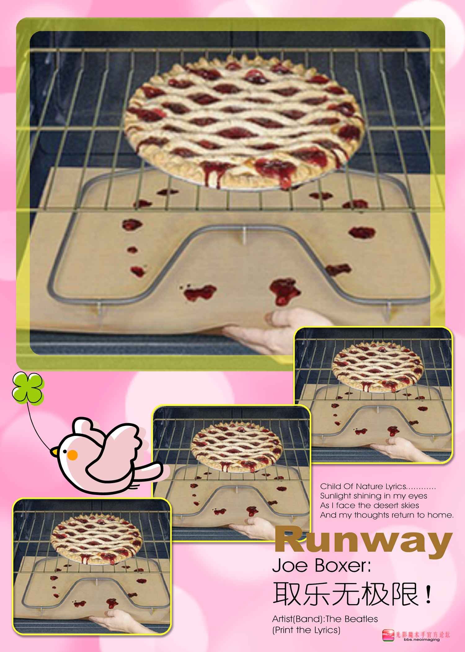 oven liner 100.jpg