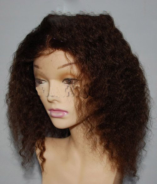 Human Hair Wig (in Stock)