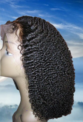 Guanangeed 100% Human Hair No Shedding Free Style No Shedding  Human Hair Wig
