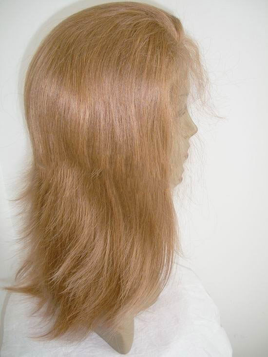 100% Indian Remy Lace Front Human Hair Wig Silky Straight