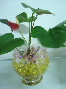 Water Absorbent Polymer
